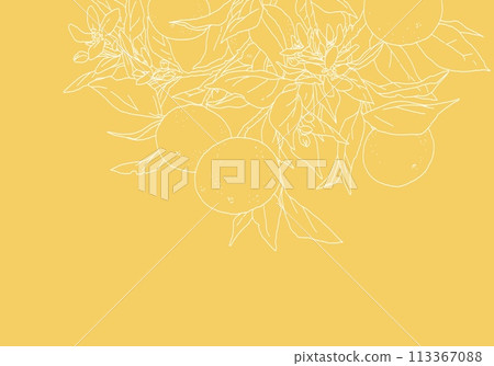 橙色與樹枝的簡單線條畫 113367088
