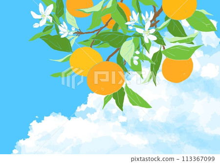 A design of a refreshing sky and orange branches 113367099