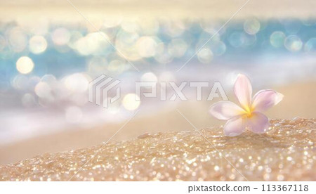 波光粼粼的熱帶海灘、海洋影像背景（AI生成素材） 113367118