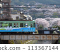 Cherry blossoms seen from Miidera Station on the Keihan Railway (Ishiyama-Sakamoto Line) 113367144