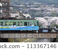 Cherry blossoms seen from Miidera Station on the Keihan Railway (Ishiyama-Sakamoto Line) 113367146