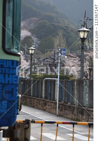 Cherry blossoms seen from Miidera Station on the Keihan Railway (Ishiyama-Sakamoto Line) Cherry blossoms seen from Miidera Station on the Keihan Railway (Ishiyama-Sakamoto Line) 113367147