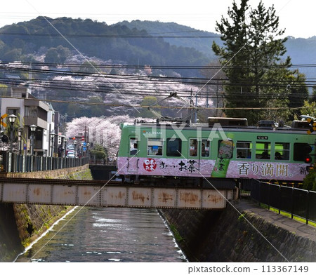 從京阪電車(石山坂本線)三井寺站看到的櫻花 從京阪電車(石山坂本線)三井寺站看到的櫻花 113367149