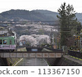 Cherry blossoms seen from Miidera Station on the Keihan Railway (Ishiyama-Sakamoto Line) 113367150