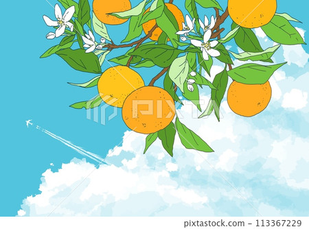 帶有尾跡和樹枝的橙色設計 113367229