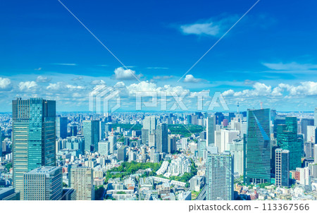 Big city Tokyo under the summer sky 113367566