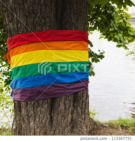 Pride LGBTQ rainbow flag wrapped around tree in a peaceful park 113367731