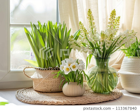 Home decor, spring flowers in apartment interior with bright light Home decor, spring flowers in apartment interior with bright light 113367840