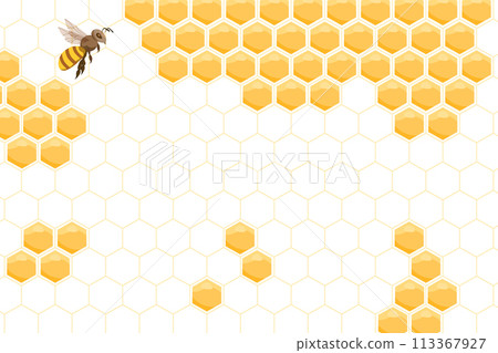 honeycomb, honey, background 113367927