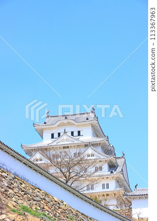 兵庫縣姬路市國寶姬路城風景 113367963