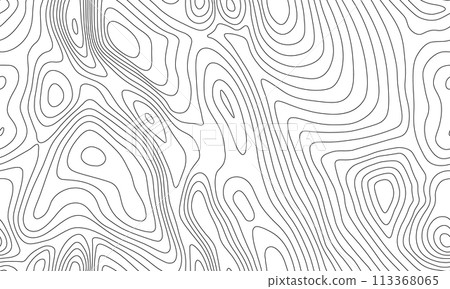 Seamless vector topographic map background. Line topography map seamless pattern. Mountain hiking trail over terrain. Contour background geographic grid. 113368065