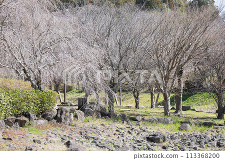 Fudoki no Oka, Ibaraki 113368200