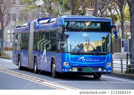 Bayside Blue/Up (Hino Blue Ribbon Hybrid articulated bus) traveling in front of Yokohama Customs Bayside Blue/Up (Hino Blue Ribbon Hybrid articulated bus) traveling in front of Yokohama Customs 113368414