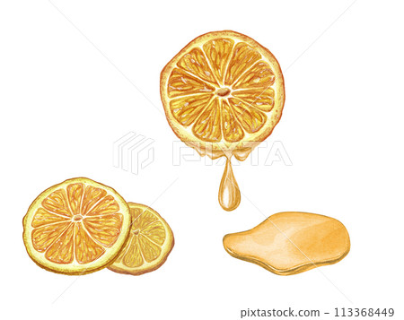 Watercolor ripe Orange slices with dripping juice. Drops of juice. Clip art isolated on white background. Botanical illustration of summer cold cocktail ingredient for menu, cocktail party Watercolor ripe Orange slices with dripping juice. Drops of juice. Clip art isolated on white background. Botanical illustration of summer cold cocktail ingredient for menu, cocktail party 113368449