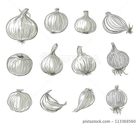 Onions collection. Sketch isolated onion, grayscale elements. Cartoon fresh garden plants. Root vegetable, agriculture harvest vector clipart 113368560