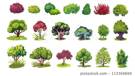 Cartoon bush and tree. Garden shrub, isolated colorful bushes with foliages. Nature elements, forest or park. Decorative vector organic ecology set 113368660