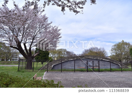 三鷹/武藏野森林公園/大澤地堡1號 113368839