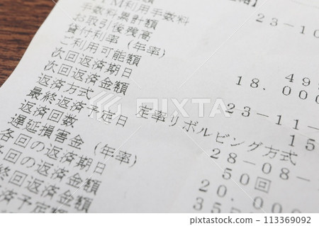 ATM loan statement 113369092