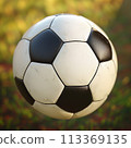 Dirty Soccer Ball Isolated on Outdoor Background 113369135