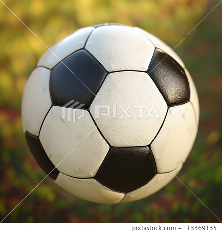 Dirty Soccer Ball Isolated on Outdoor Background 113369135