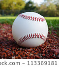 Baseball Ball on Blurred Outdoor Background 113369181