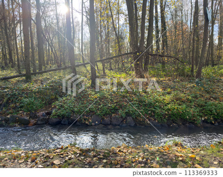 Green leisure park Bois des Reves with lake in Belgium Green leisure park Bois des Reves with lake in Belgium 113369333