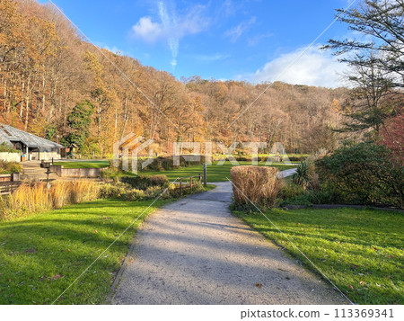 Green leisure park Bois des Reves with lake in Belgium 113369341