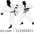 karate fighter, sidekick (martial arts) - vector 113369451
