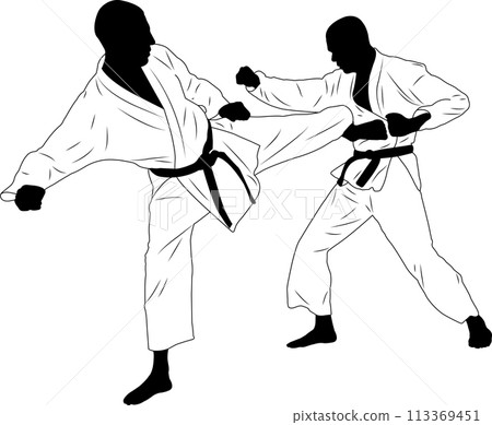 karate fighter, sidekick (martial arts) - vector karate fighter, sidekick (martial arts) - vector 113369451