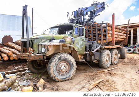 Timber truck brought timber to the sawmill 113369710