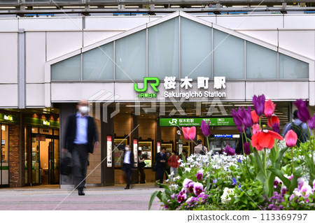盛開的日本橫濱市景…櫻木町站等景觀=4月8日 113369797