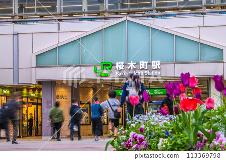 盛開的日本橫濱市景…櫻木町站等景觀=4月8日 113369798