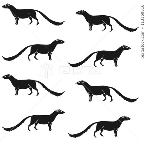 Vector seamless pattern of hand drawn mongoose 113369816