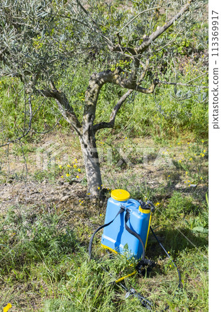 Herbicide sprayer close to an olive tree. Herbicide sprayer close to an olive tree. 113369917