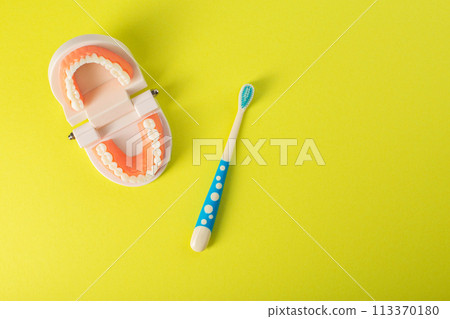 Children's toothbrush with soft bristles on a yellow background next to a mock-up of a dental jaw. The concept of care and hygiene for the oral cavity and teeth in children. Prevention of caries. Copy 113370180