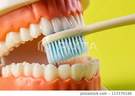 A blue toothbrush cleans teeth in the oral cavity of a dental jaw mockup on a yellow background. Concept of care and hygiene for teeth and gums. Prevention of caries. Fresh breath. Copy space for text 113370186