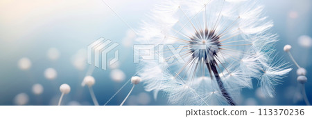 delicate dandelion seed head, showcasing the intricate parachute-like structure and textures of the seeds. Generative AI 113370236