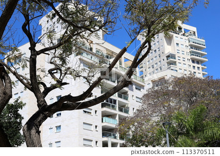 Tel Aviv city against the backdrop of tall green plants. Tel Aviv city against the backdrop of tall green plants. 113370511