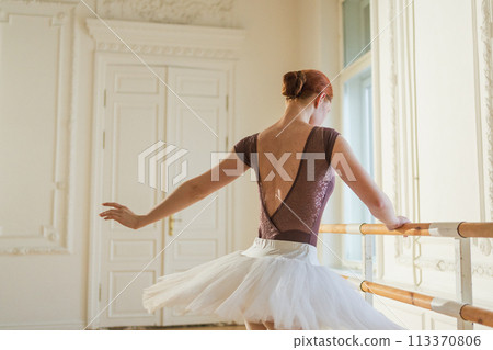 Young ballerina in tutu skirt stretching practicing ballet positions dancing near ballet barre in dance class. Young classical dancer woman in dance studio. Ballet class training Ballet school concept Young ballerina in tutu skirt stretching practicing ballet positions dancing near ballet barre in dance class. Young classical dancer woman in dance studio. Ballet class training Ballet school concept 113370806