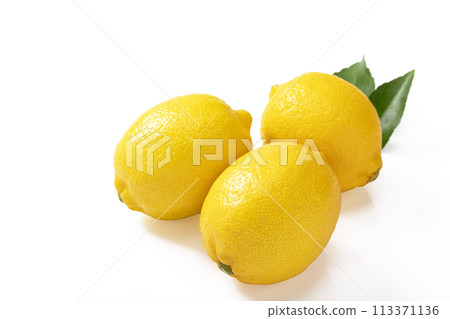 白色背景檸檬 113371136