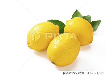 白色背景檸檬 白色背景檸檬 113371138