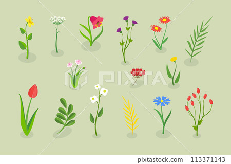 3D Isometric Flat Vector Illustration of Flowers Collection, Set of Various Blooming Plants 3D Isometric Flat Vector Illustration of Flowers Collection, Set of Various Blooming Plants 113371143