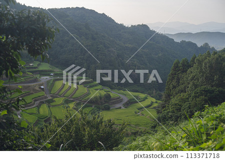 福岡縣浮羽市旅遊勝地都浦梯田的風景 113371718