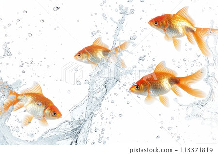 Goldfish jumping, water arc trail, crisp focus, isolated on white, soft glow , Hyper realistic Goldfish jumping, water arc trail, crisp focus, isolated on white, soft glow , Hyper realistic 113371819