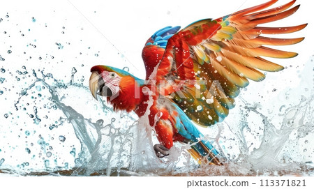 Parrot flapping wings in water splash, vivid colors, front angle, white scene , cinematic 113371821