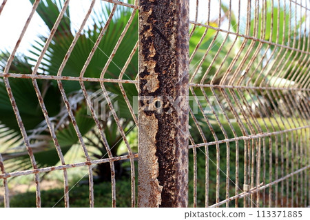 Texture of old and rusty iron. Texture of old and rusty iron. 113371885