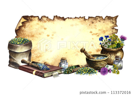 A frame with medicinal herbs cornflower, chamomile and tansy. Dried, crushed in a linen bag, in glass bottles and a wooden pot. Mortar and pestle for grinding. A hand-drawn watercolor illustration. 113372016