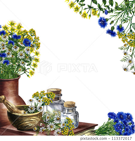 A frame with medicinal herbs cornflower, chamomile and tansy. Dried, crushed in a linen bag, in glass bottles and a wooden pot. Mortar and pestle for grinding. A hand-drawn watercolor illustration. 113372017