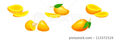 Mango Fruit with Fresh Juicy Pulp and Rind Vector Set 113372529