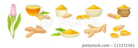 Turmeric Plant with Root as Cooking Flavor Vector Set 113372561